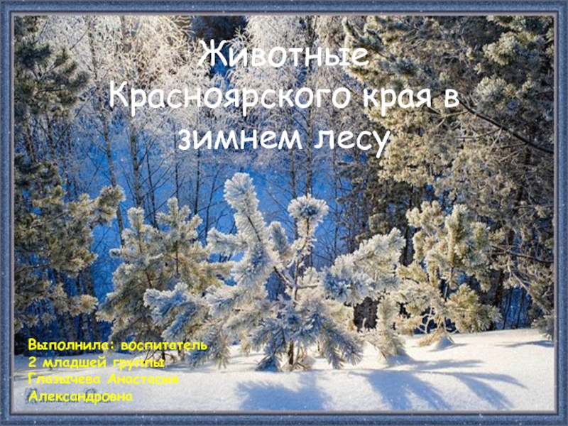 Презентация Животные Красноярского края в зимнем лесу