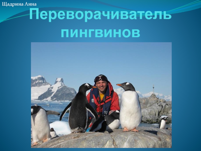 Переворачиватель пингвинов