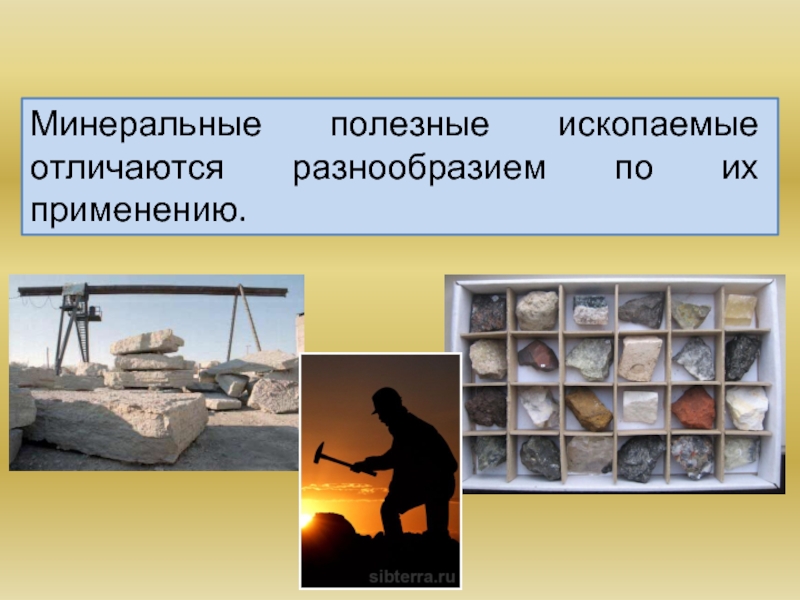 Полезные ископаемые новосибирской области какие добывают