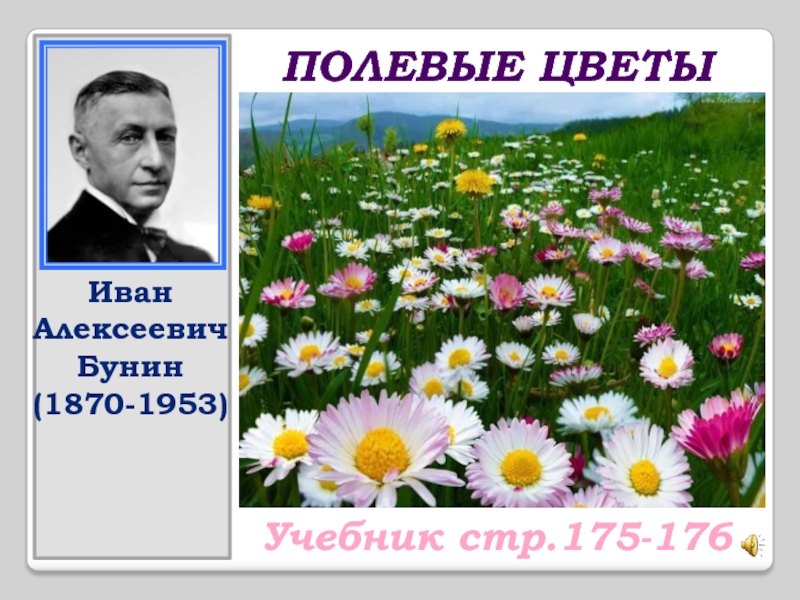 Стихотворение ивана алексеевича бунина полевые цветы