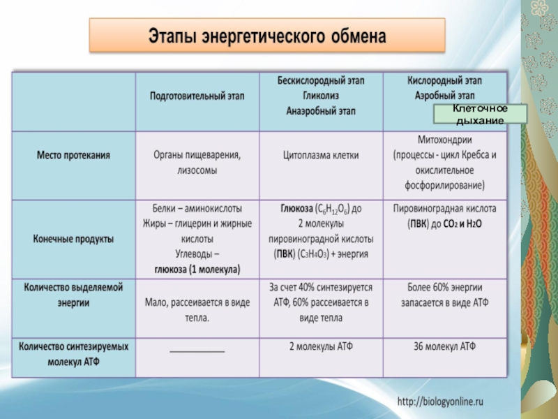 Клетка в таблице поставок которая не удовлетворяет условию оптимальности плана называется клеткой