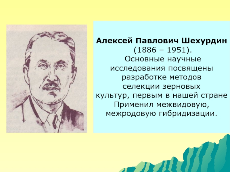 Алексей Павлович Шехурдин (1886 – 1951). Основные научные исследования посвящены разработке методовселекции зерновых культур, первым в нашей