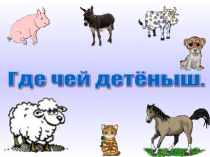 Где чей детеныш?