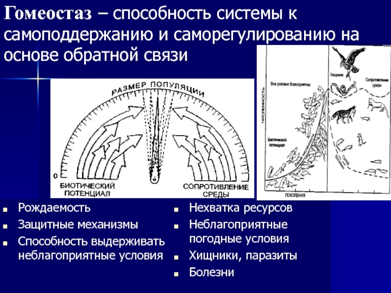 Способности механизмы