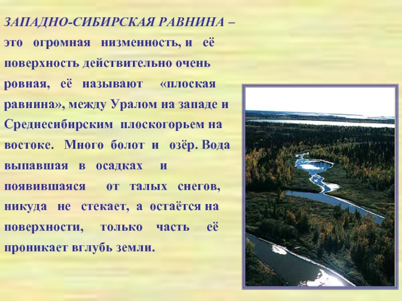 Сравнение восточно и западно сибирской равнины