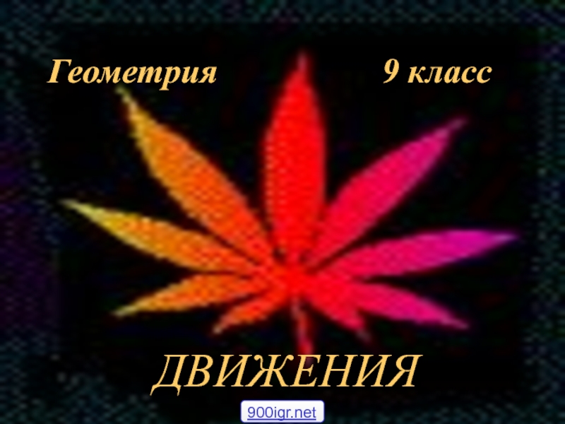 ДВИЖЕНИЯ