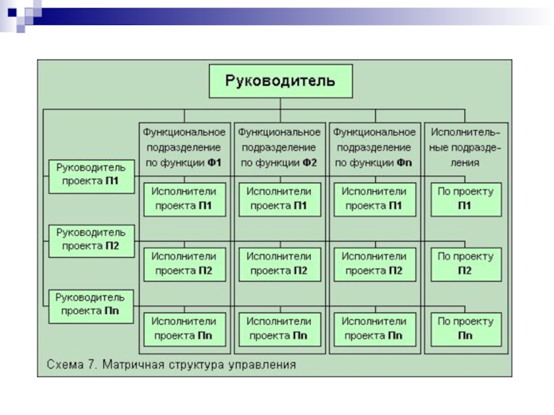 Общий и функциональный менеджмент и проект менеджмент