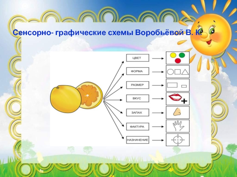 Сенсорно графические схемы воробьевой