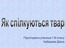 Як сп і лкуються тварини