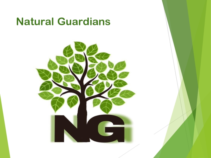 Презентация Natural Guardians