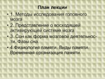 Методы исследования мозга