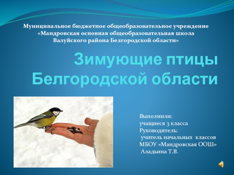 Зимующие птицы Белгородской области
