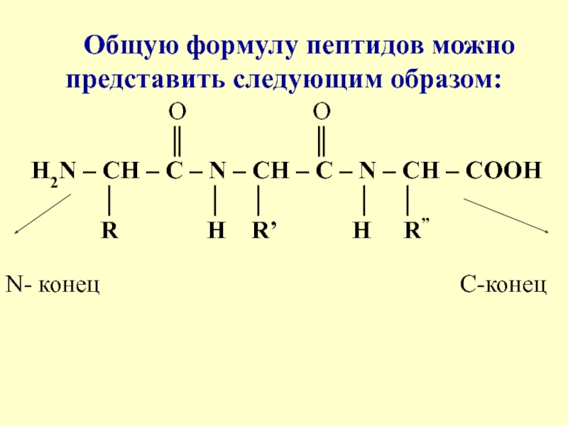 Аминокислоты в полипептиде соединены. Пептидная связь аминокислот формула. Общая химическая формула белков. Формула трипептида три. Пептиды формула.