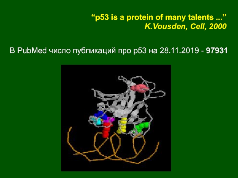 “p53 is a protein of many talents ...”K.Vousden, Cell, 2000В PubMed число публикаций про p53 на 28.11.2019