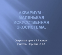 Аквариум – маленькая искусственная экосистема.