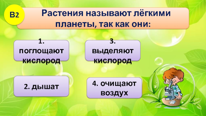 Солнце растения и мы тест 3 класс. Растения называют легкими планеты так как они. Почему растения называют «лёгкими планеты»?. Растения называют легкими планеты так как они поглощают кислород. Почему растения называют легкими нашей планеты.