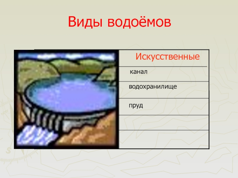 Виды водоемов