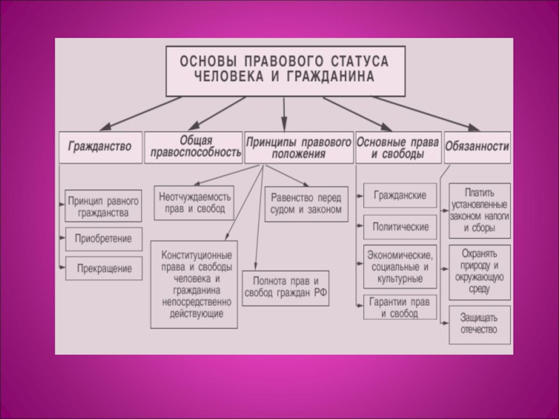 Покажите на диаграмме как соотносятся правовой и конституционный статусы человека какое понятие шире