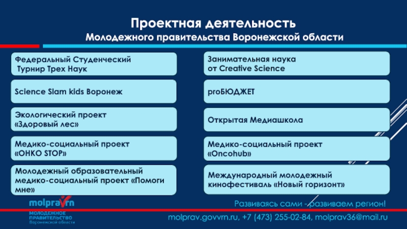 Направления деятельности молодежной политики