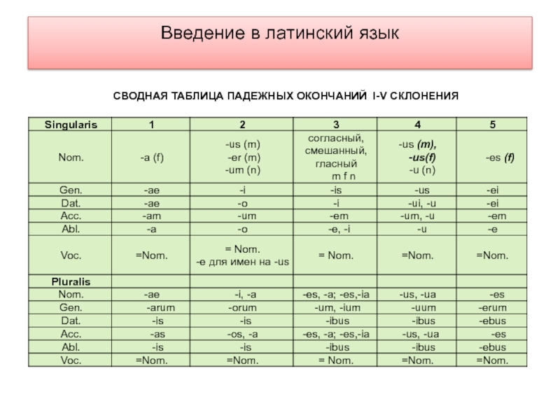 Латинский в таблицах и схемах