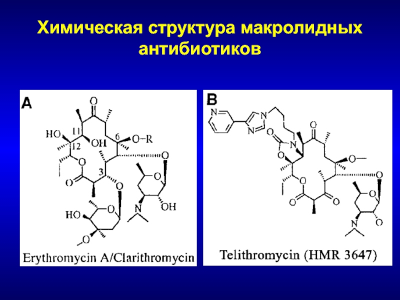 Антибиотики химия 10 класс презентация