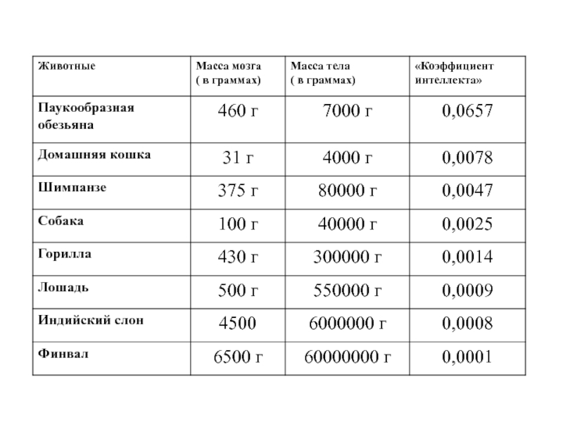 Сколько весит мозг. Вес животных таблица. Вес мозга животных. Таблица масса мозга. Вес разных животных таблица.