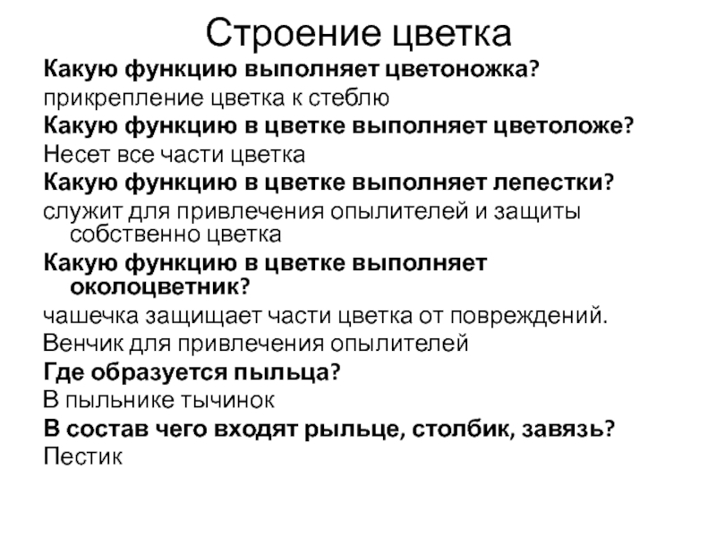 Какую выполняет цветок. Какую функцию выполняет цветоножка. Какую функцию в цветке выполняет цветоножка. Какую функцию выполняет цветоложе. Какую функцию выполняет цветоножка 6 класс.