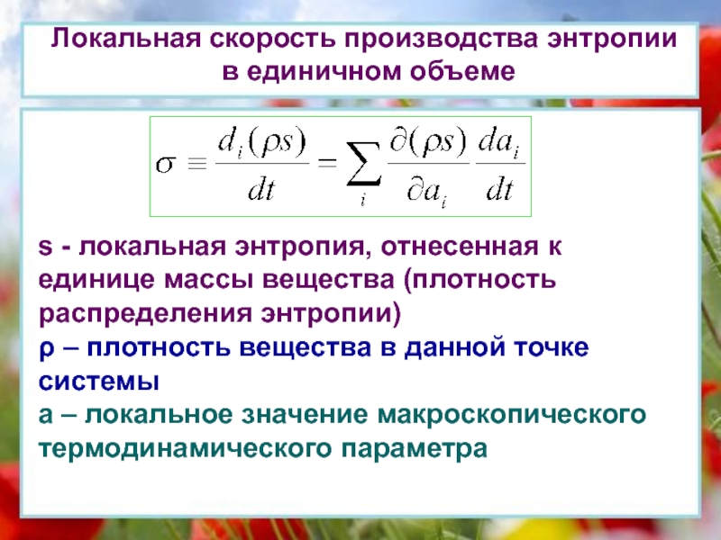 Локальная скорость. Скорость производства энтропии. Локальная скорость потока. Плотность энтропии.