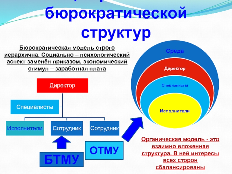 Бюрократическая модель управления проектами