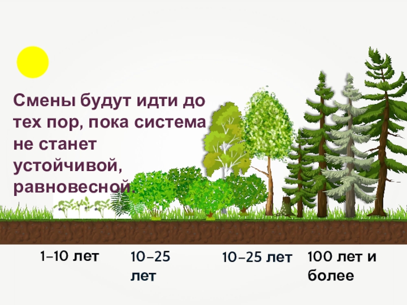 Пока система. [.. ](До тех тех пор пока) схема предложения.