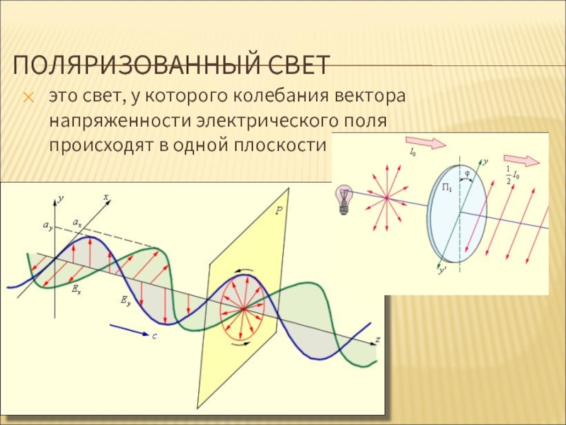 Направления колебаний