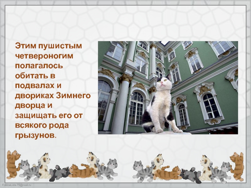 Hermitage cats огэ