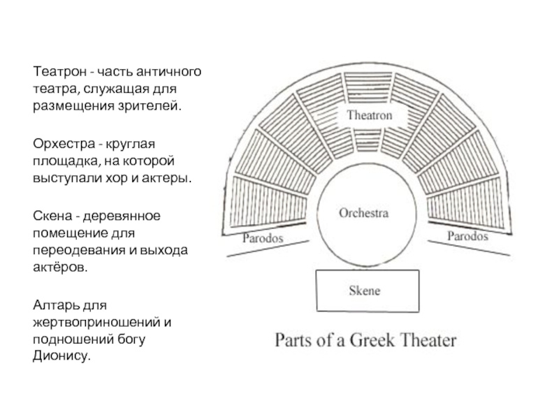 Служащий в театре. Скена в античном театре. Схема театра в древней Греции. Алтарь Диониса в древнегреческом театре. Театрон в древнегреческом театре.