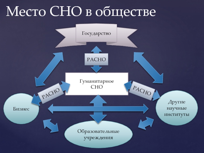 Проект общество и государство