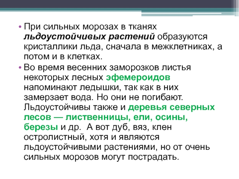 Приспособление растений к низким температурам. Приспособления растений к высоким температурам. Как растения приспосабливаются к низким и высоким температурам. Приспособление растений к высоким и низким температурам.