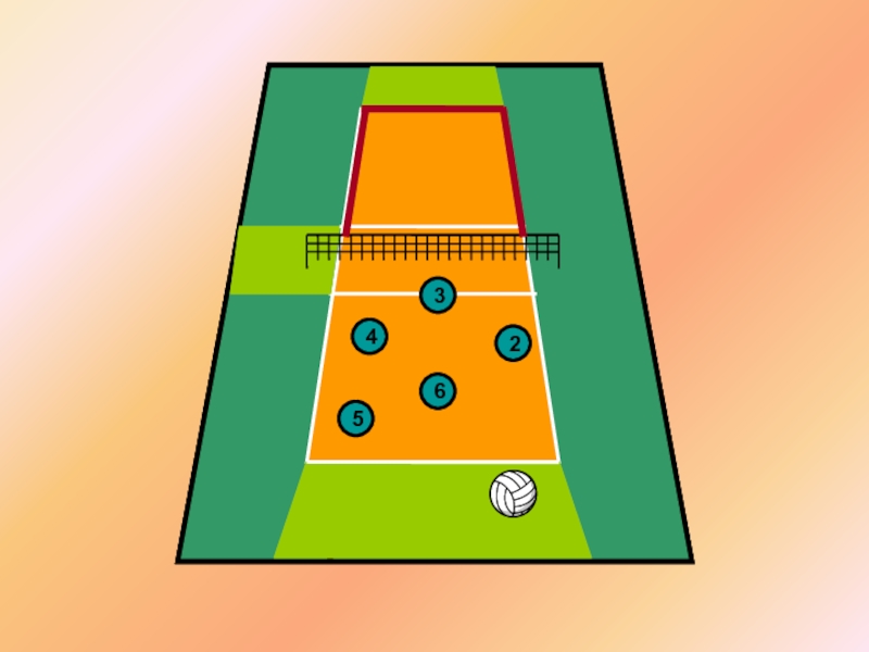 Рисунок волейбольной площадки с игроками