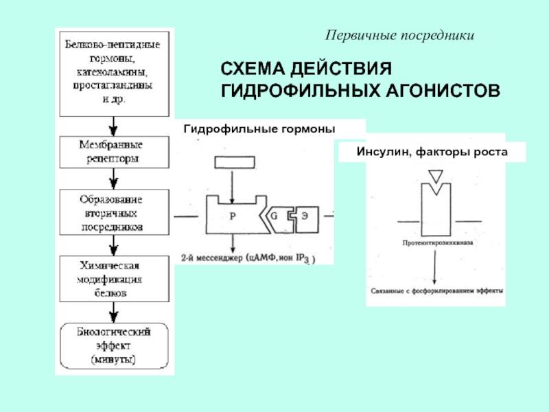 Схема действий это