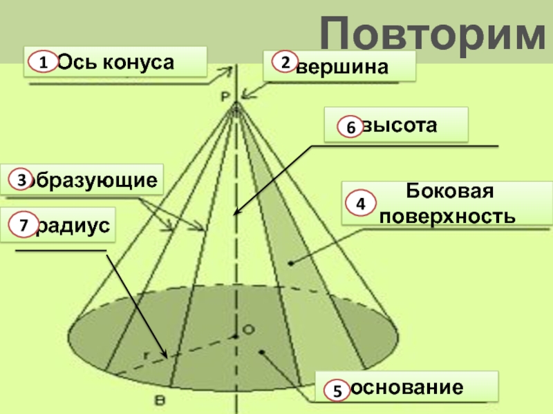 Конус основание высота боковая поверхность. Конус ось высота вершина боковая поверхность образующие. Поверхность основание вершина образующие ось высота конуса. Ось конуса. Образующая конуса.