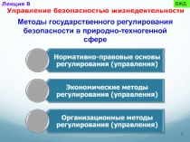 Управление безопасностью жизнедеятельности 