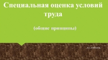А.С.Кабанов
(общие принципы)
Специальная оценка условий труда