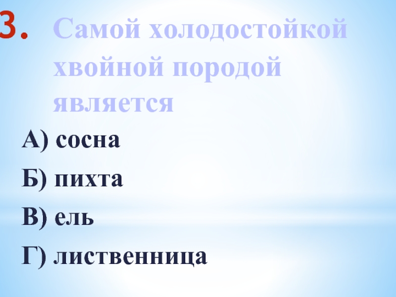 Самой холодостойкой хвойной породой