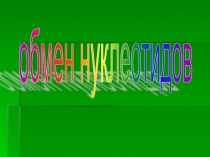 Обмен нуклеотидов 