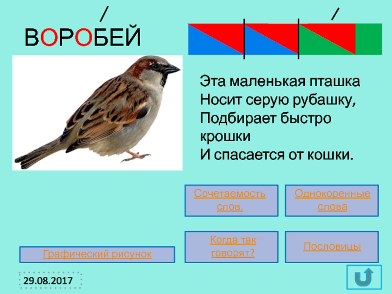 Первая колом вторая третья мелкими пташечками. Воробей словарное слово. Воробей 1 класс. Словарная работа Воробей. Воробей запомнить.