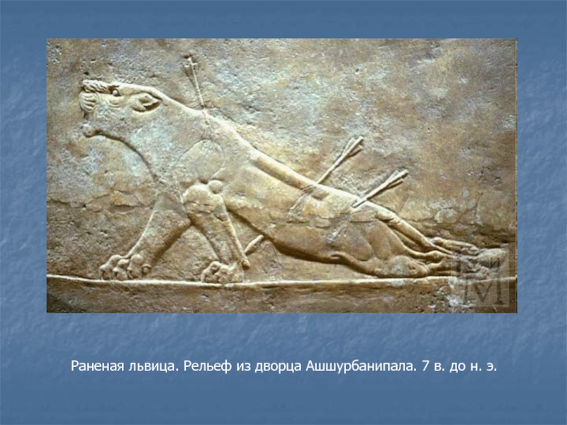 Раненая львица. Рельеф из дворца Ашшурбанипала. 7 в. до н. э.