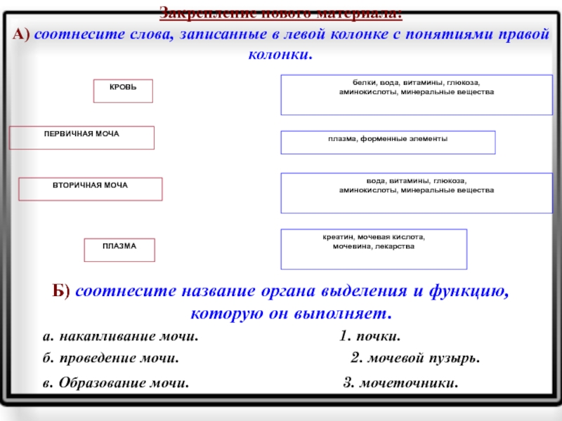 Левые термин. Соотнесите название органа с его функцией.. Соотнести правый и левый Столбцы. Соотнесите колонки. Соотнесите понятия левого столбца с именами правого столбца.