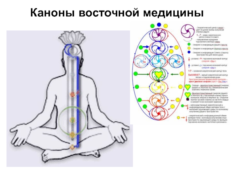 Западная медицина. Основы Восточной медицины. Принципы Восточной медицины. Восточная медицина презентация.