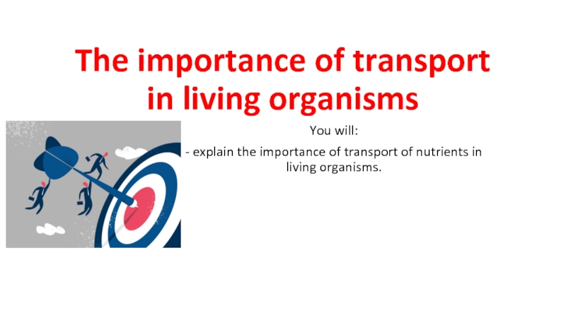 Презентация The importance of transport in living organisms