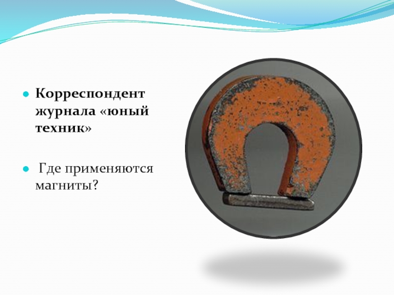 Где применяют магнитную шайбу. Как электромагниты используются в холодильнике.