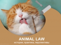 ANIMAL LAW история, практика, перспективы