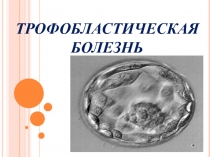 ТРОФОБЛАСТИЧЕСКАЯ БОЛЕЗНЬ